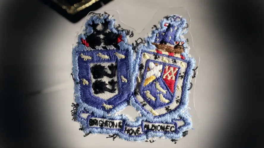 CĐV Brighton & Hove Albion CĐV Brighton & Hove Albion